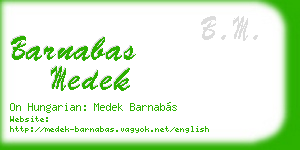 barnabas medek business card
