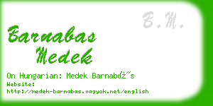 barnabas medek business card